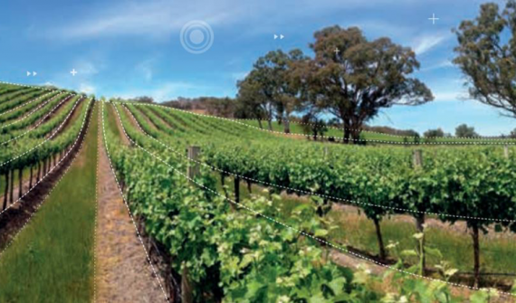 Leveraging GIS technology in viticulture