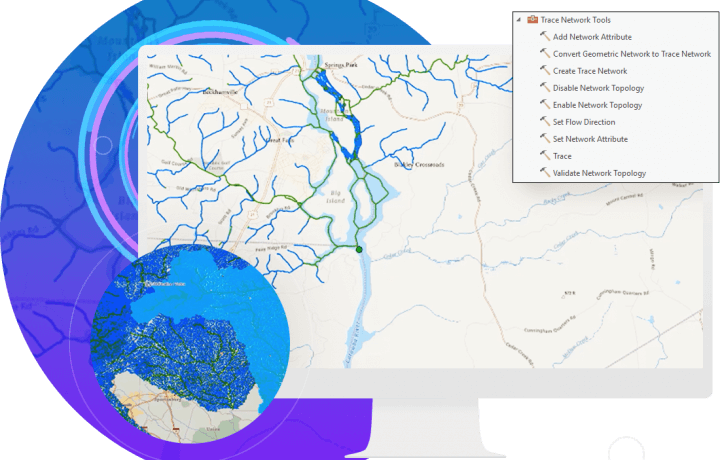 Trace network image