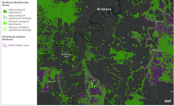 Esri ArcGIS Online mapping Biodiversity and Vital Koala Habitat across Brisbane.