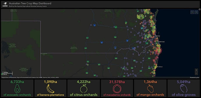 Australian tree crop map dashboard