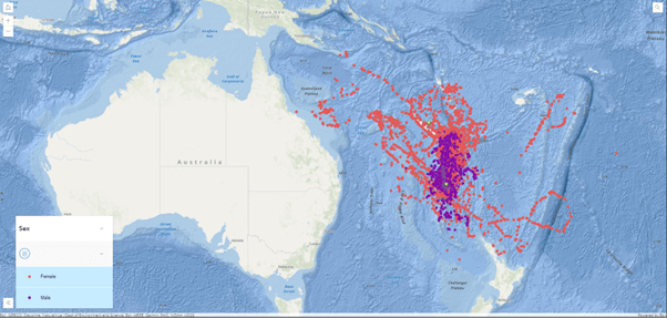 ArcGIS Online showing differentiation of sex movements