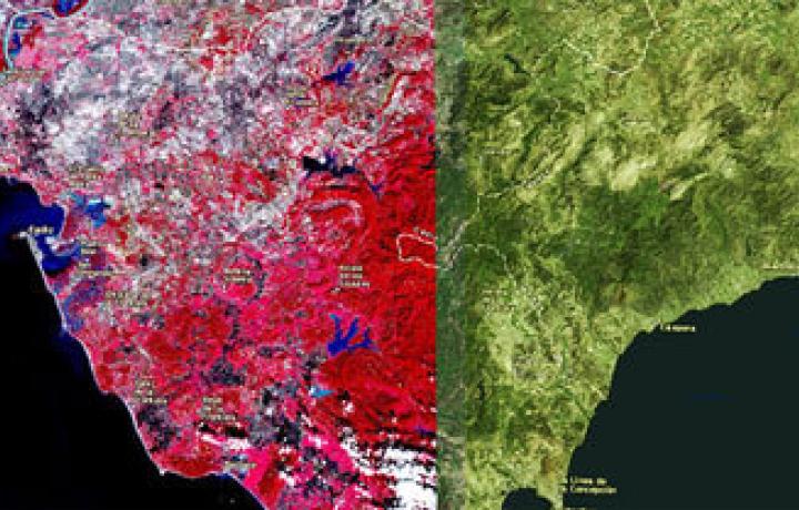 arcgis-image-server