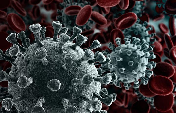 Managing the risk of Coronavirus homepage card
