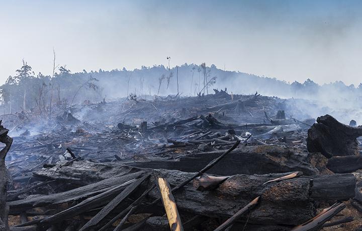 Machine learning for disaster response and recovery homepage card