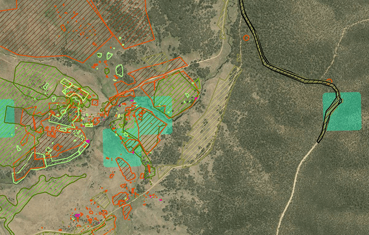Smart-mapping-of-invasive-species