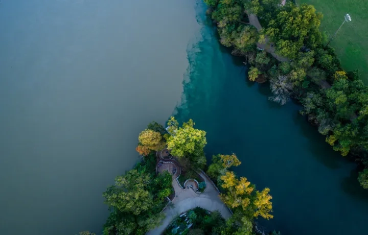 Water