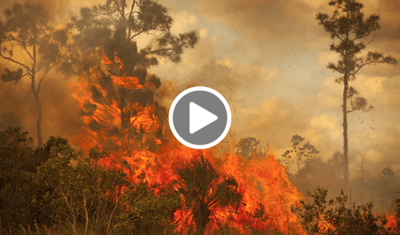 Putting out the fire