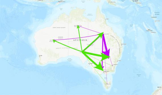 Spatial-Activity-Australias-Interstate-Migration.jpg