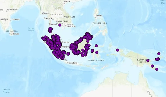 Spatial-Activity-Palm-Oil.jpg