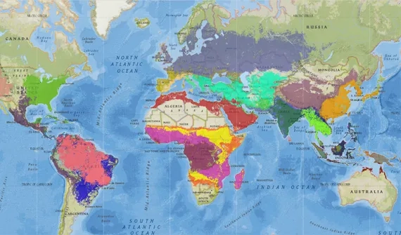 Spatial-Activity-Slowing-malaria.jpg