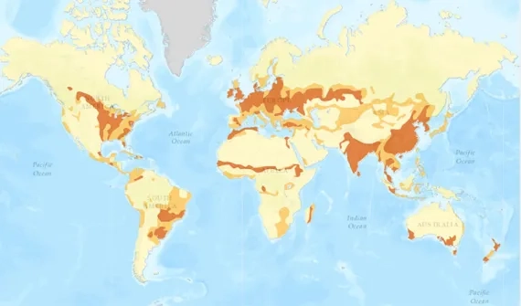 Spatial-Activity-Species-diversity.jpg