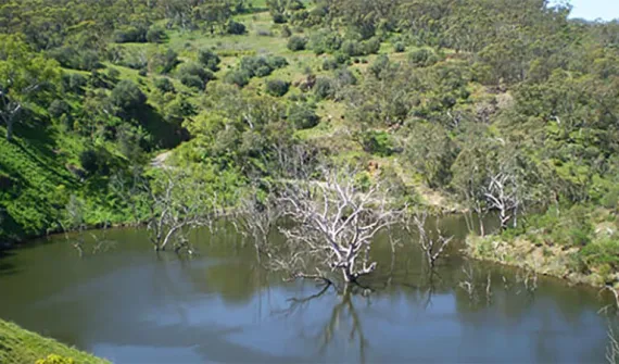 The Sturt Gorge GIS web map - Card