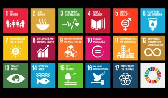 United Nations Sustainable Development Goals