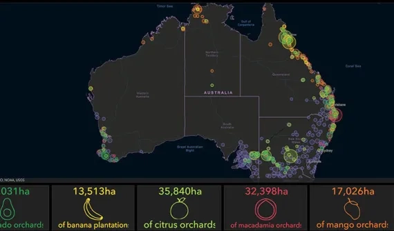 Tree crop dashboard 