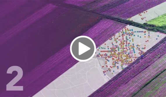 ArcMap to ArcGIS Pro: Effective and efficient editing recording card image