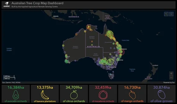 Tree crop map