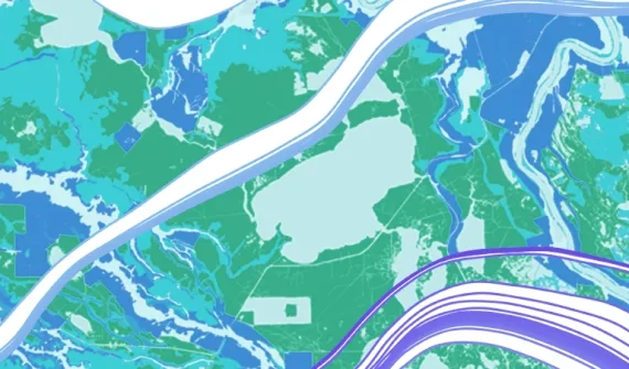 Tips and tricks for viral maps card image