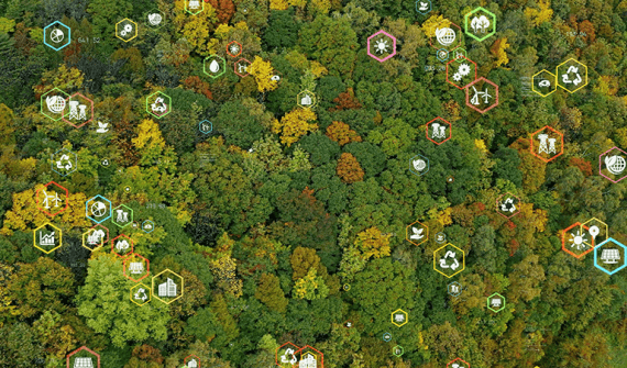 The power of GIS in Environmental Education card image