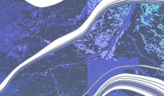 Field data collection and management with ArcGIS 
