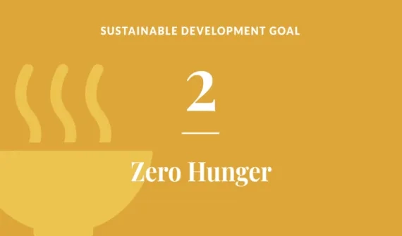 Sustainable Development Goal 2