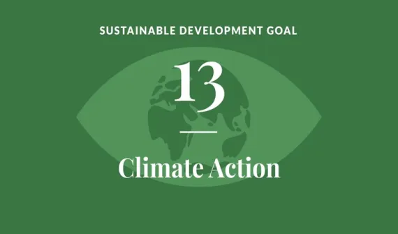 SDG13