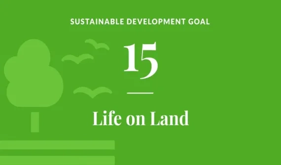 SDG15