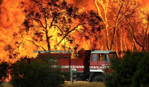 Bush fire