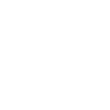 Train icon