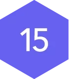 #15 icon