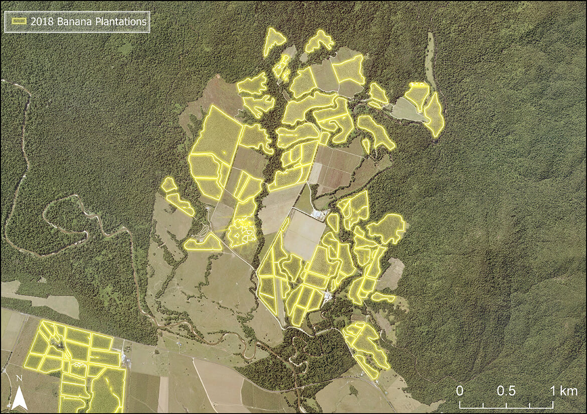 An example of how DES used ArcGIS Pro and Machine Learning in a computer vision model to map banana plantations in the Johnstone River catchment area.